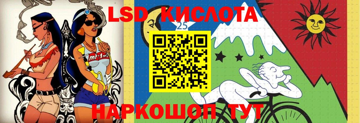 Галлюциногенные грибы Карпинск