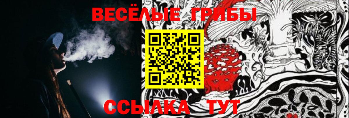 Галлюциногенные грибы мухоморы Карпинск